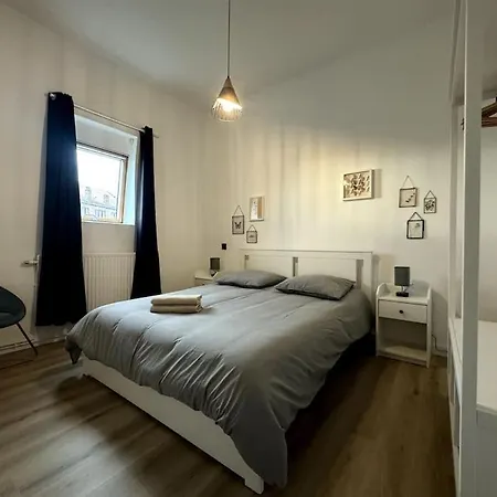 Balade En Bord De Deule Διαμέρισμα Lambersart