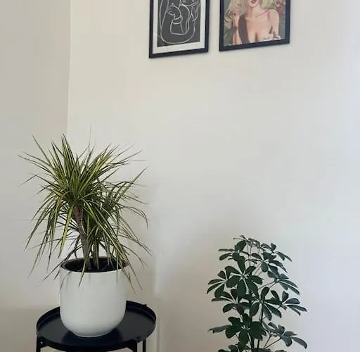 Balade En Bord De Deûle Appartement Lambersart