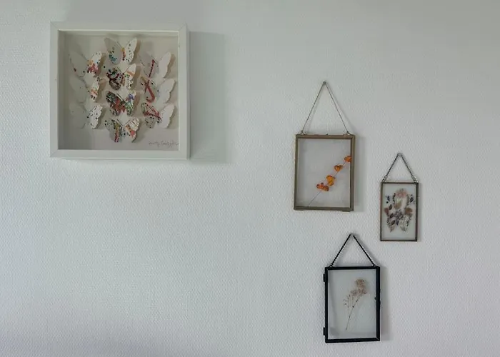 Appartement Balade En Bord De Deûle Lambersart